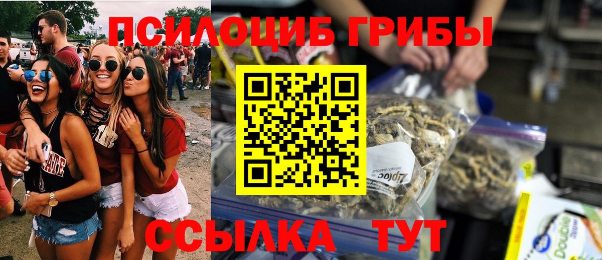 Псилоцибиновые грибы Psilocybe Тосно