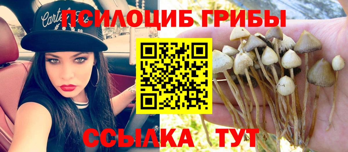 Галлюциногенные грибы MAGIC MUSHROOMS  Галлюциногенные грибы GOLDEN TEACHER  Тосно  Вход с VPN 